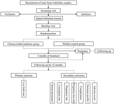 The effect of Chinese herbal medicine on male factor infertility: study protocol for a randomized controlled trial